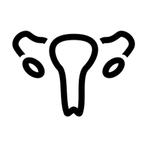 Nőgyógyászat